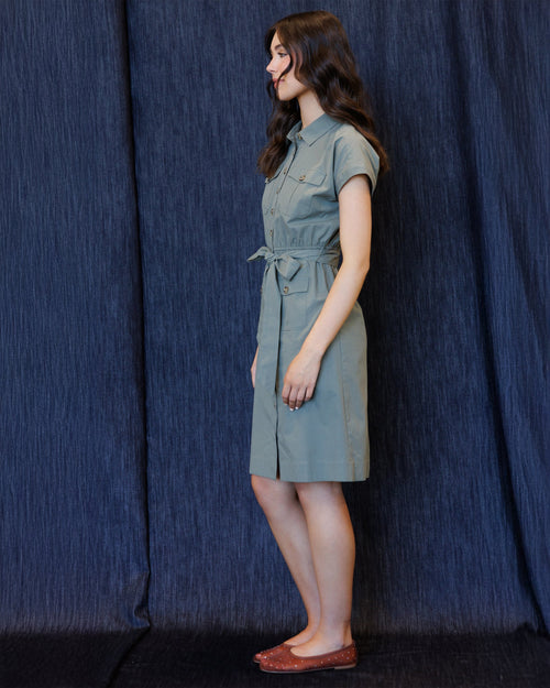 Field Trip Dress